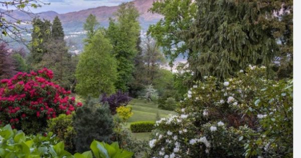 In Piemonte Torna Appuntamento In Giardino Parchi E Orti Botanici