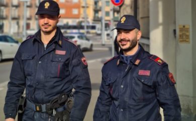 Cimice dell'olmo  al via il monitoraggio in corso Dante