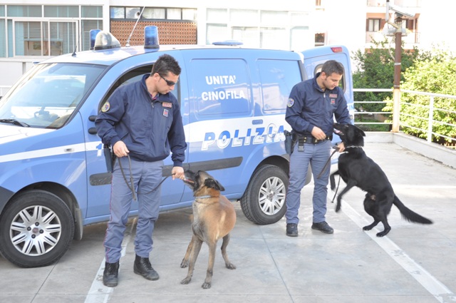 Aurora – Nuovi arresti per spaccio fra via Cecchi e corso Vigevano