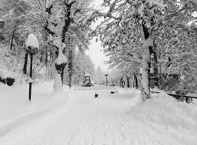 Grande gelo in Piemonte e Valle d’Aosta – Sul Monte Rosa temperaura record di -35 °C