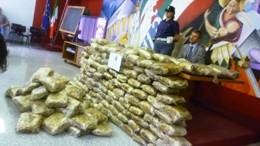 Anziano spacciatore sardo nascondeva 60 kg di marijuana- Arrestato a Torino