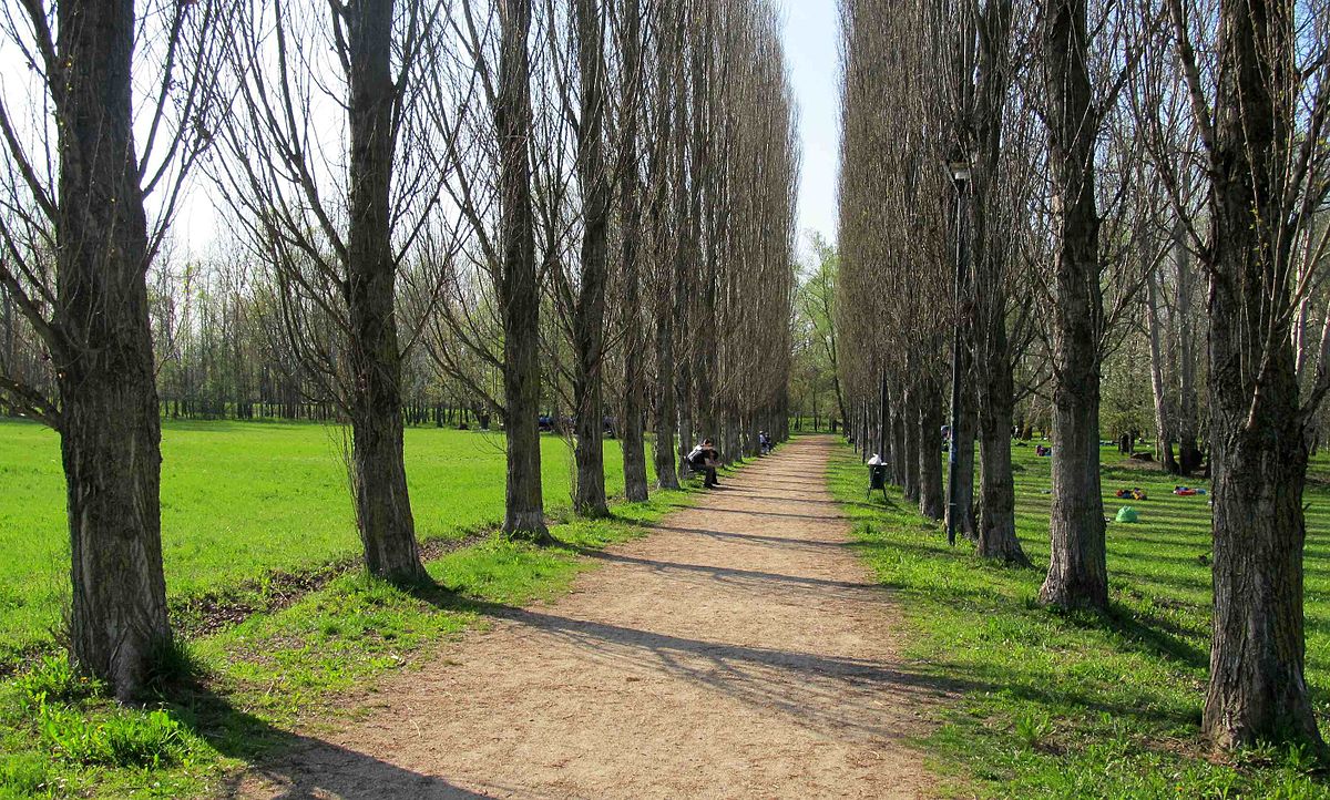 Apre a tutti l’ex Galoppatoio militare del Meisino – Un’importante area verde di 150.000 mq