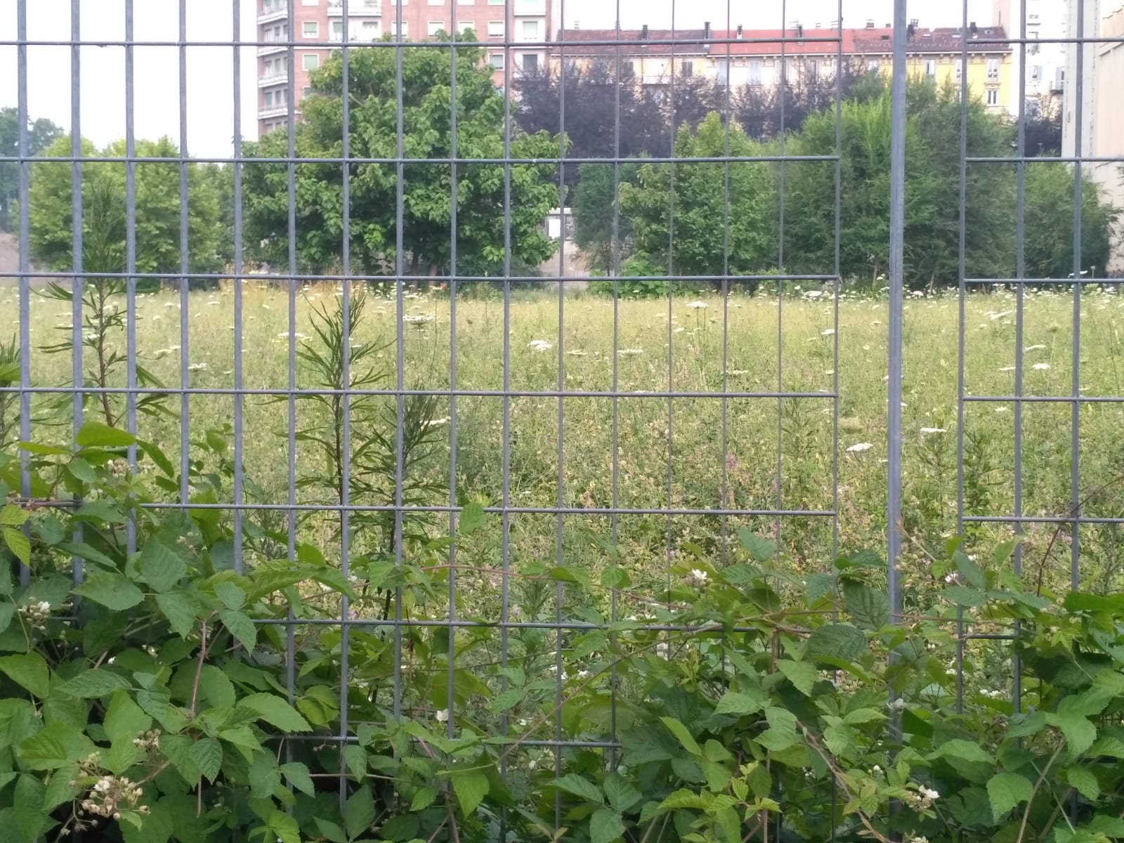 Area Ponte Mosca, una situazione inaccettabile – LE FOTO