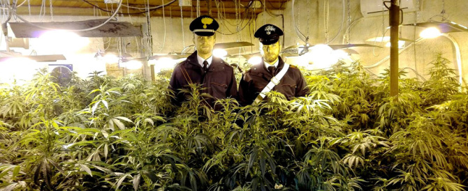 “Droga a chilometro zero” – Arrestata giovane coltivatrice di marijuana