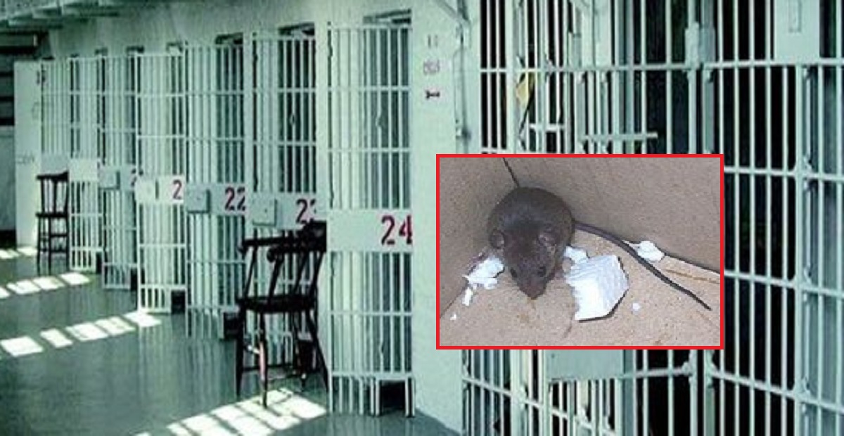 Degrado nelle carceri – Sala ristoro invasa dai topi “Disgusto che ci lascia senza parole”