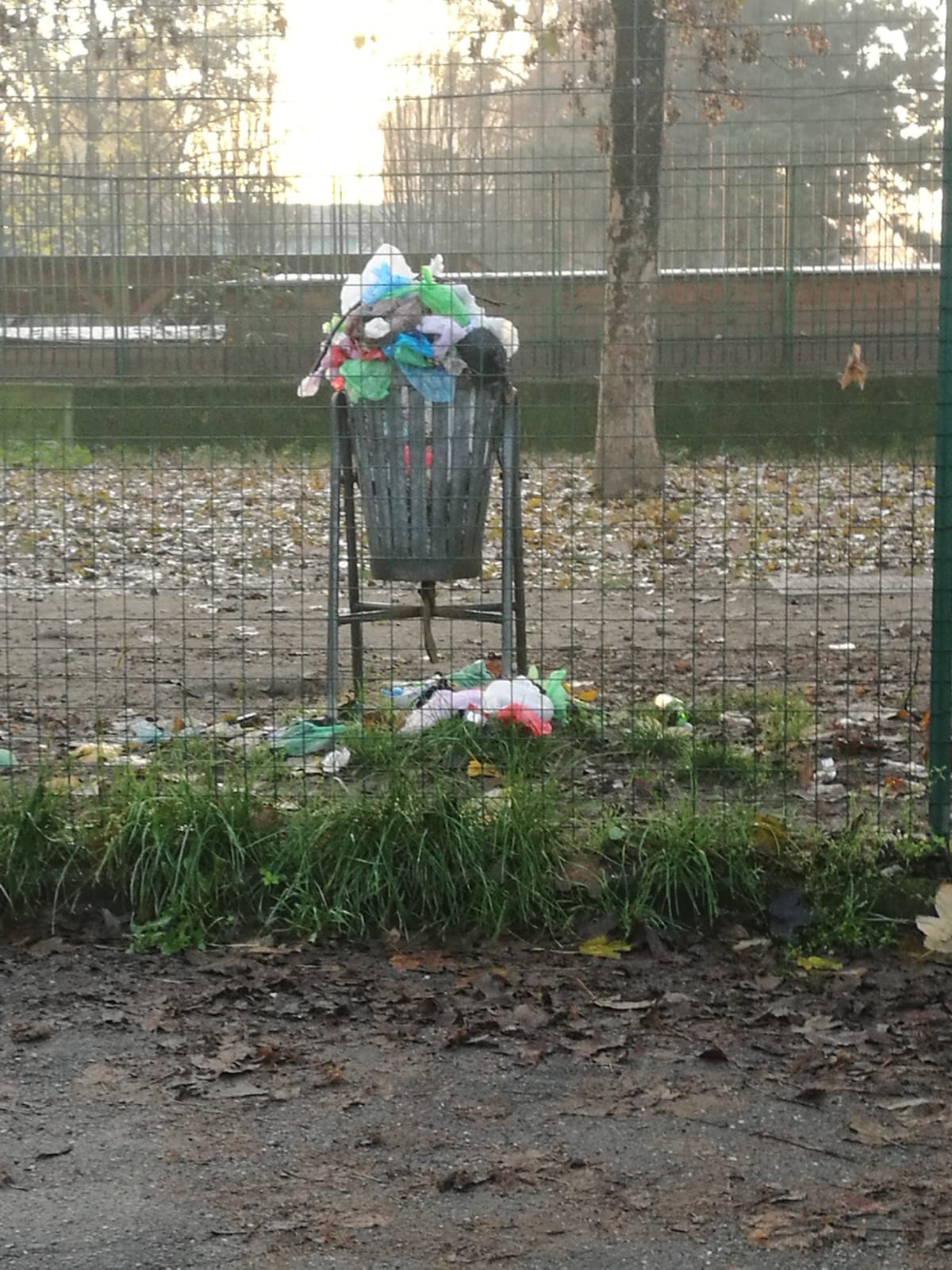 Area di via Petrella invasa dai rifiuti – Petrarulo “Definirla area cani è un’offesa ai cani che la frequentano”