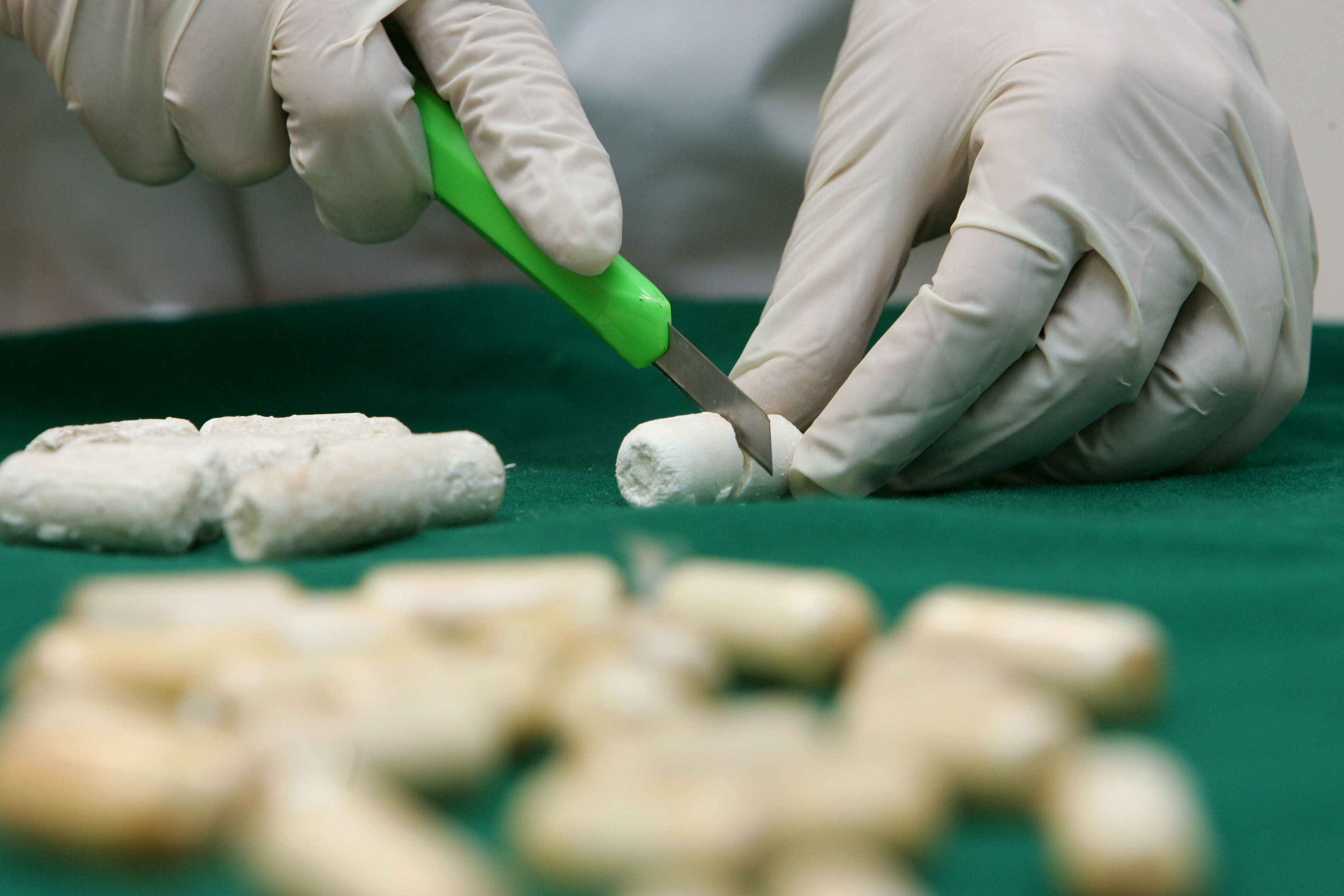 Vive coi genitori e in garage ha un deposito di cocaina – Arrestato il “custode” della droga