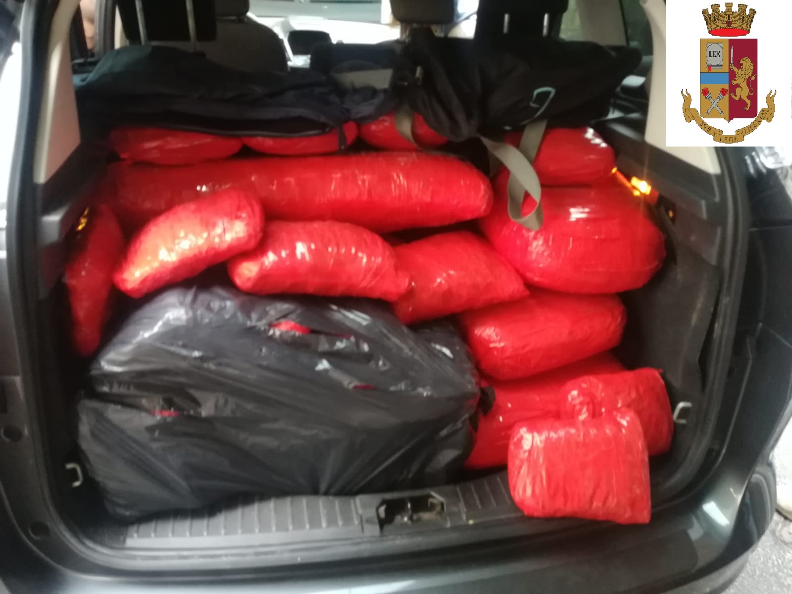 Avevano un quintale di marijuana stipata in auto – Fermati 2 incensurati a Torino