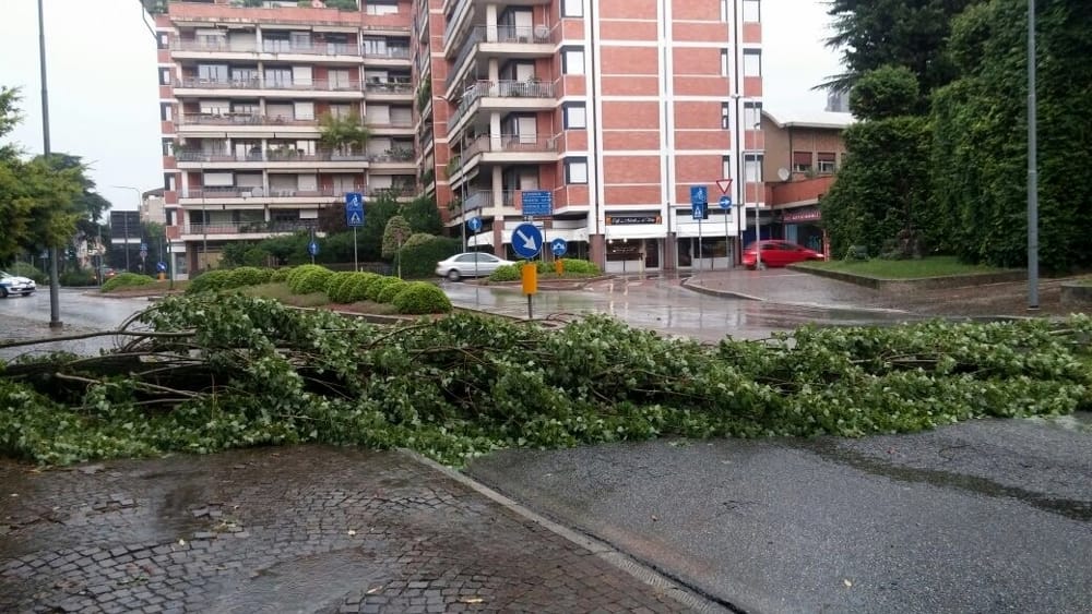 Grandinate e acquazzoni, ora Torino conta i danni – Oggi resta l’Allerta Gialla