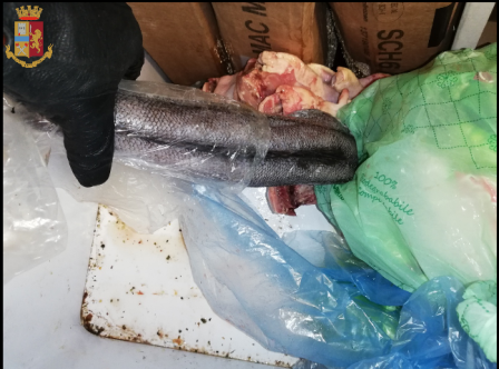 Blatte ed escrementi di piccione – Sequestrati oltre 100 kg di alimenti in locale di San Salvario