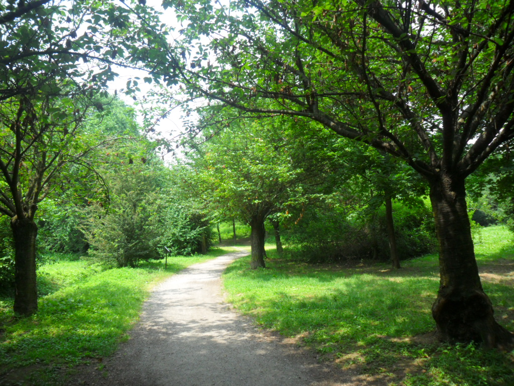Trasformazione totale del ‘Tossic Park’ – Da parco dei tossici a Foresta urbana