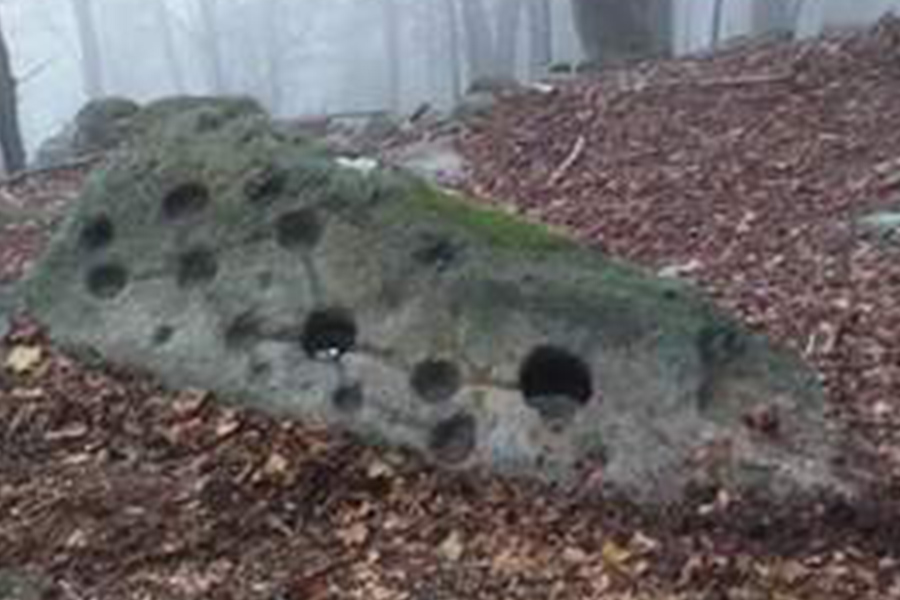 Misteriosa scoperta nel Torinese – Antica mappa stellare trovata in un bosco