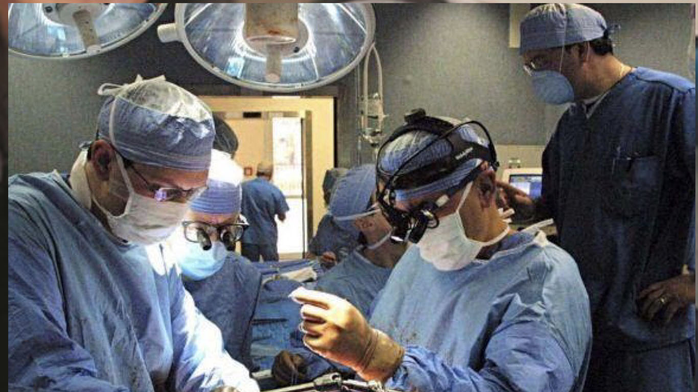 Mangia il fungo piu’ velenoso al mondo – Un trapianto le salva la vita