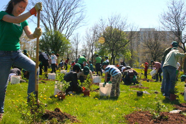 Nuovi boschi in città, potature e 10.000 alberi in piu’ – Maxi intervento ‘verde’ a Torino