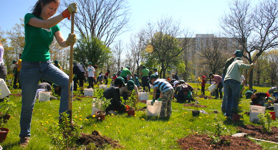 Piantati altri 20mila alberi a Torino – Continua l’impegno contro l’inquinamento atmosferico
