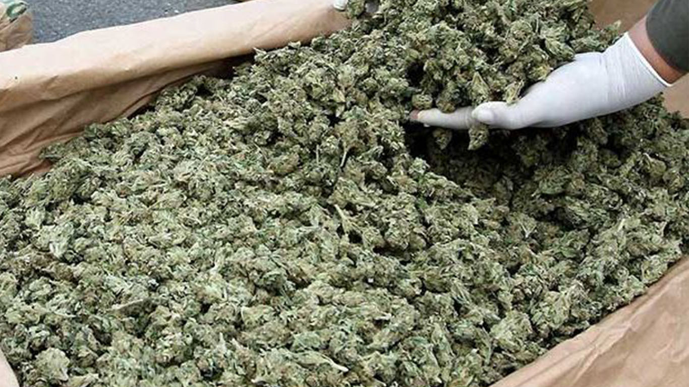 Spaccio in zona Santa Rita- Sequestrati 14 kg di marijuana, arrestato un italiano