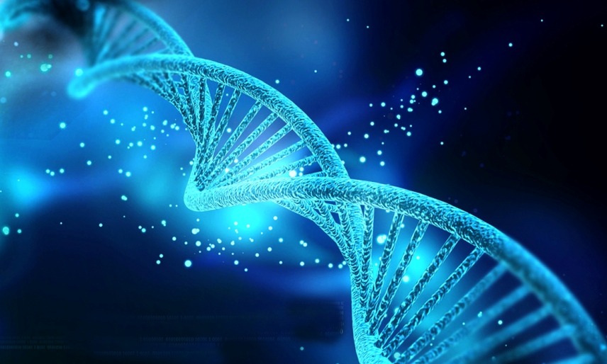 Scoperti i geni che causano l’autismo – Torino grande protagonista dello studio internazionale