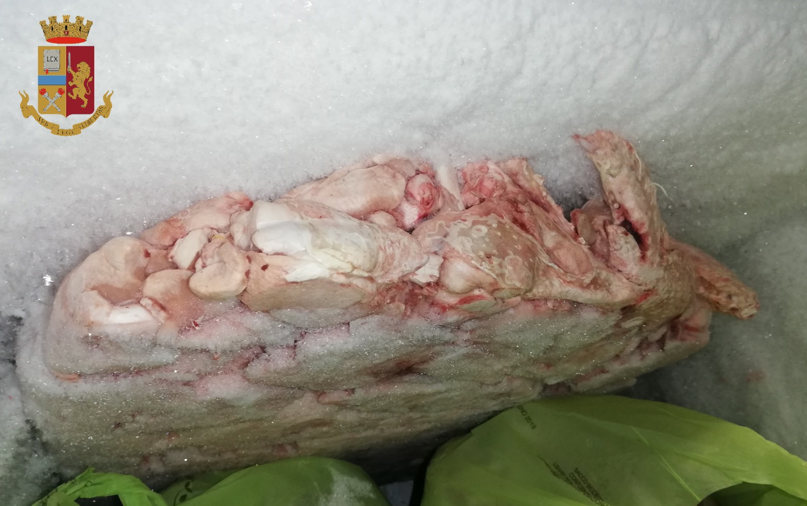 Ristorante da incubo, fra insetti e sporcizia – Chiuso cinese di San Salvario