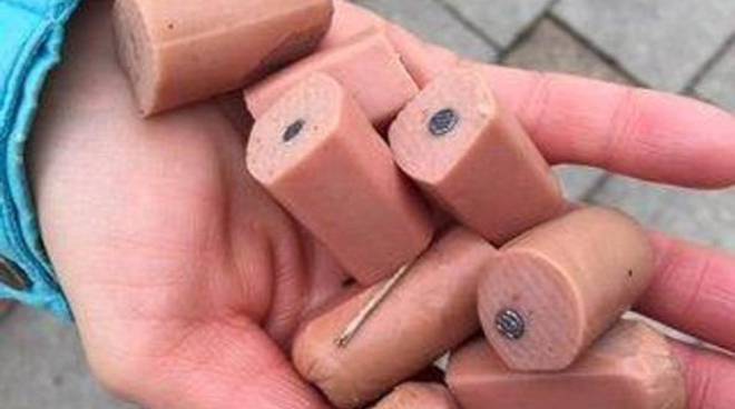 Bocconi-killer per uccidere i cani – L’allarme dei residenti