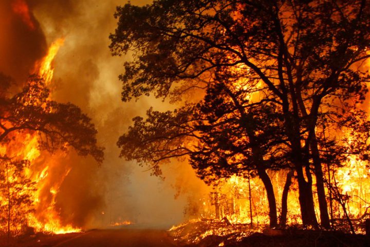 Bruciano ancora i boschi nel Torinese – 15 persone evacuate