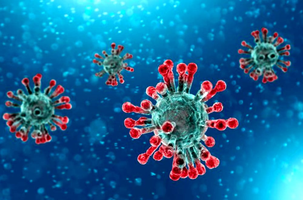 Coronavirus – A Torino disponibile il test molecolare “Seguiamo l’evoluzione dell’emergenza”