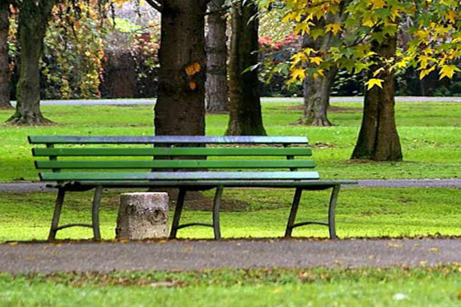 A Torino saranno restaurate 500 panchine – Grande intervento nei giardini e parchi pubblici