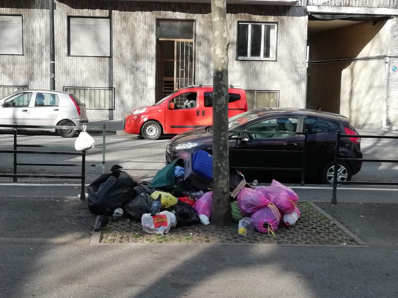 Petrarulo: “Assurda la mancanza di pulizia delle strade di Torino in tempi di Coronavirus. Per i cittadini è un’Odissea”