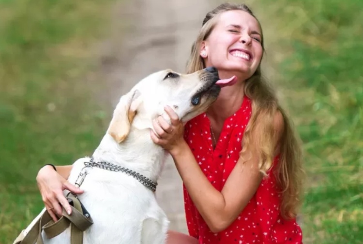 Animali domestici e Coronavirus – Contagio, pulizia e altro: le risposte a tutte le domande