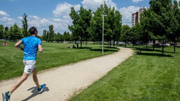 Appendino “Riaprono i parchi a Torino. E’ un patto con i cittadini: siate responsabili”