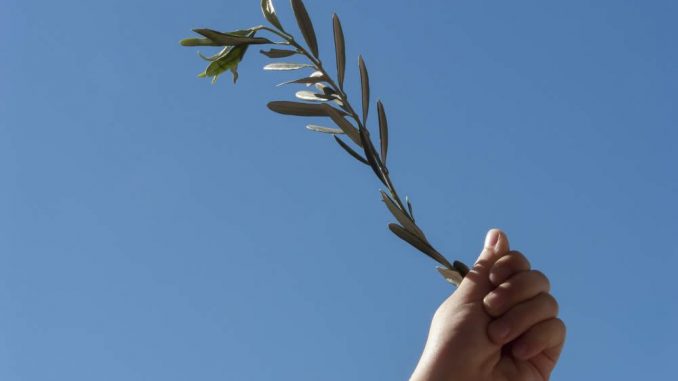 Torino, parroco celebra ‘di nascosto’ la Messa nonostante le restrizioni – Multa in arrivo per i fedeli