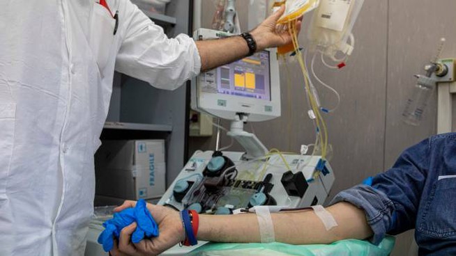 Piemonte, al via la raccolta del Plasma per la cura del Coronavirus – Ecco dove si può donare