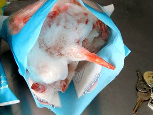 Torino – Gamberoni e altri pesci mal conservati in ristorante giapponese. Denunciati i titolari