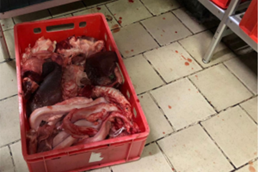70 kg di carne e cibo sequestrati in macelleria vicino a Porta Palazzo – L’intervento dell’Asl