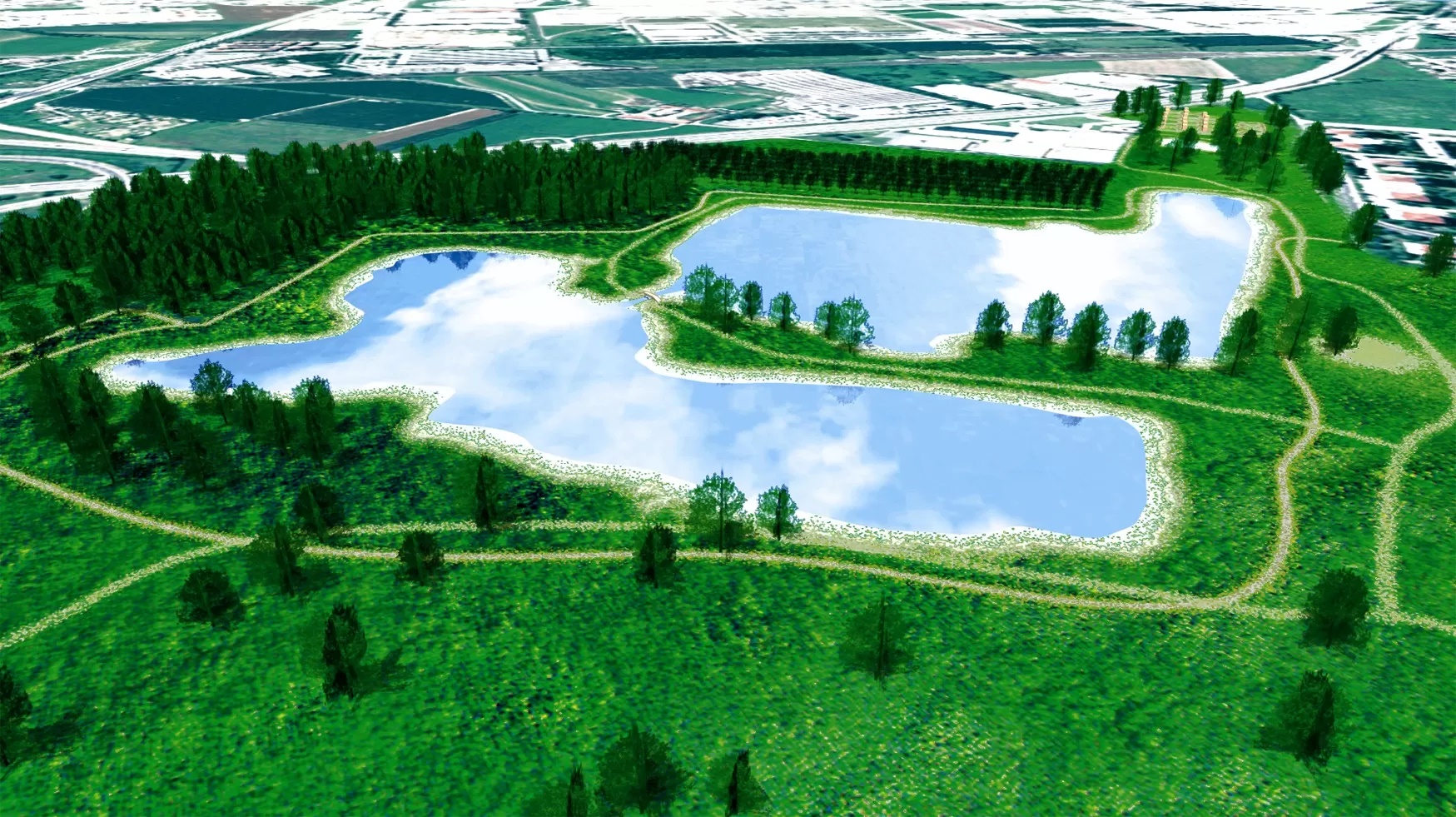 Torino – Un nuovo Bosco urbano in città: parte il progetto con decine di nuovi alberi: “Un nuovo habitat per la fauna e la flora autoctone”