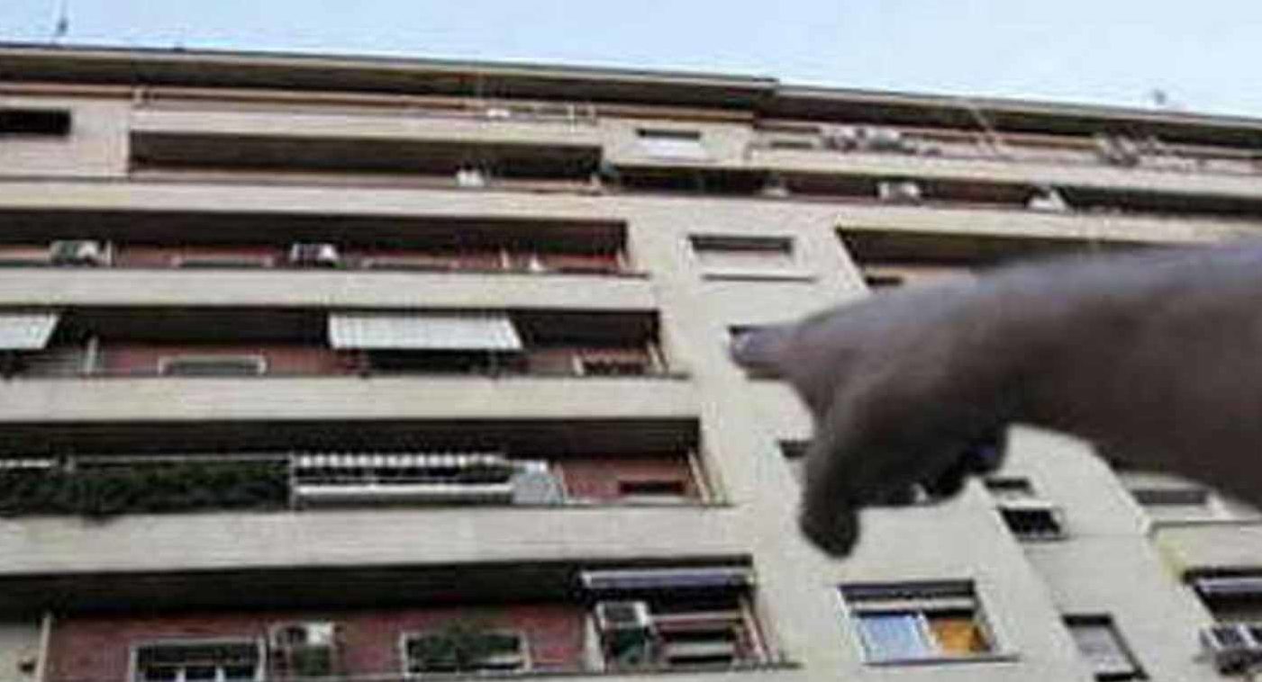 Torino – Cagnolina vola dal balcone e muore. I testimoni “L’ha lanciata il proprietario” e tentano di linciarlo