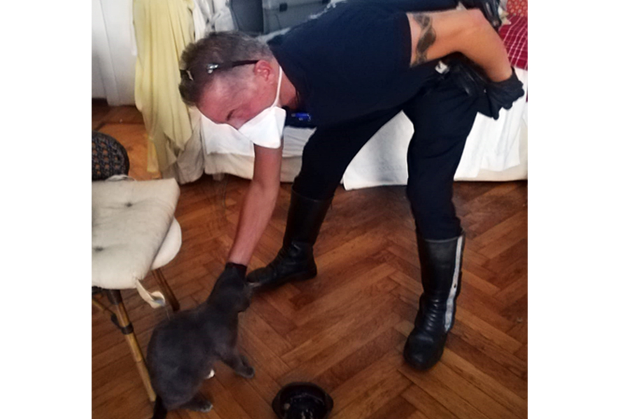 Torino – L’anziana padrona finisce in ospedale e il gatto rimane solo: salvato dai vigili