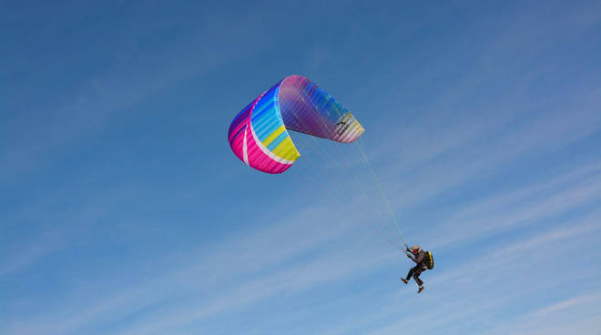 Precipita col parapendio su una mandria di mucche – E’ grave
