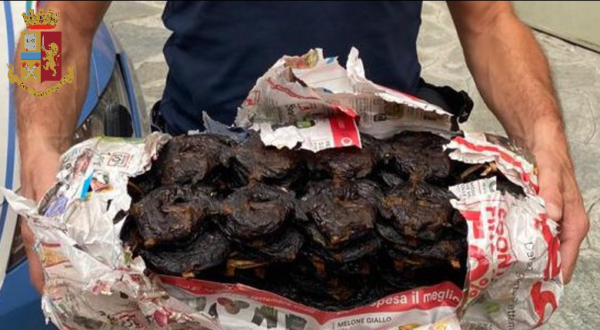 Porta Palazzo – Nigeriane vendono pesce essiccato dall’odore nauseabondo: intervento della Polizia