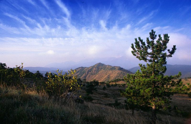 “I parchi del Piemonte diventino aziende” – Il progetto per sviluppare il turismo