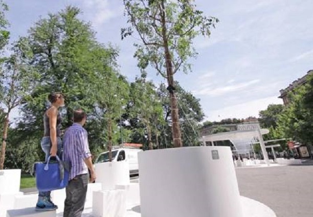 Maxi piano di forestazione urbana a Torino – In arrivo 30 mila alberi