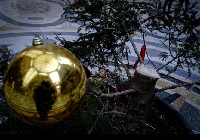 Torino – Ladri rubano anche l’albero di Natale ai bimbi della scuola, nuovo episodio vergognoso
