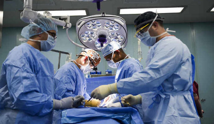 Torino – L’ultimo grande dono della veterinaria di San Salvario: i suoi organi salvano 4 vite