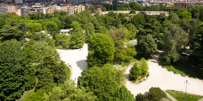 Torino – Un regalo all’ambiente: centinaia di nuovi alberi dopo l’abbattimento per i lavori della Metro