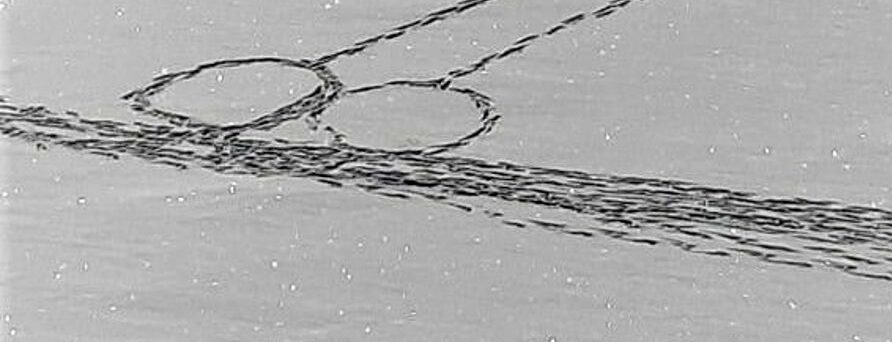 Piemonte – Rischia di morire congelato per disegnare un pene sul lago ghiacciato “E’ l’idiota dell’anno”