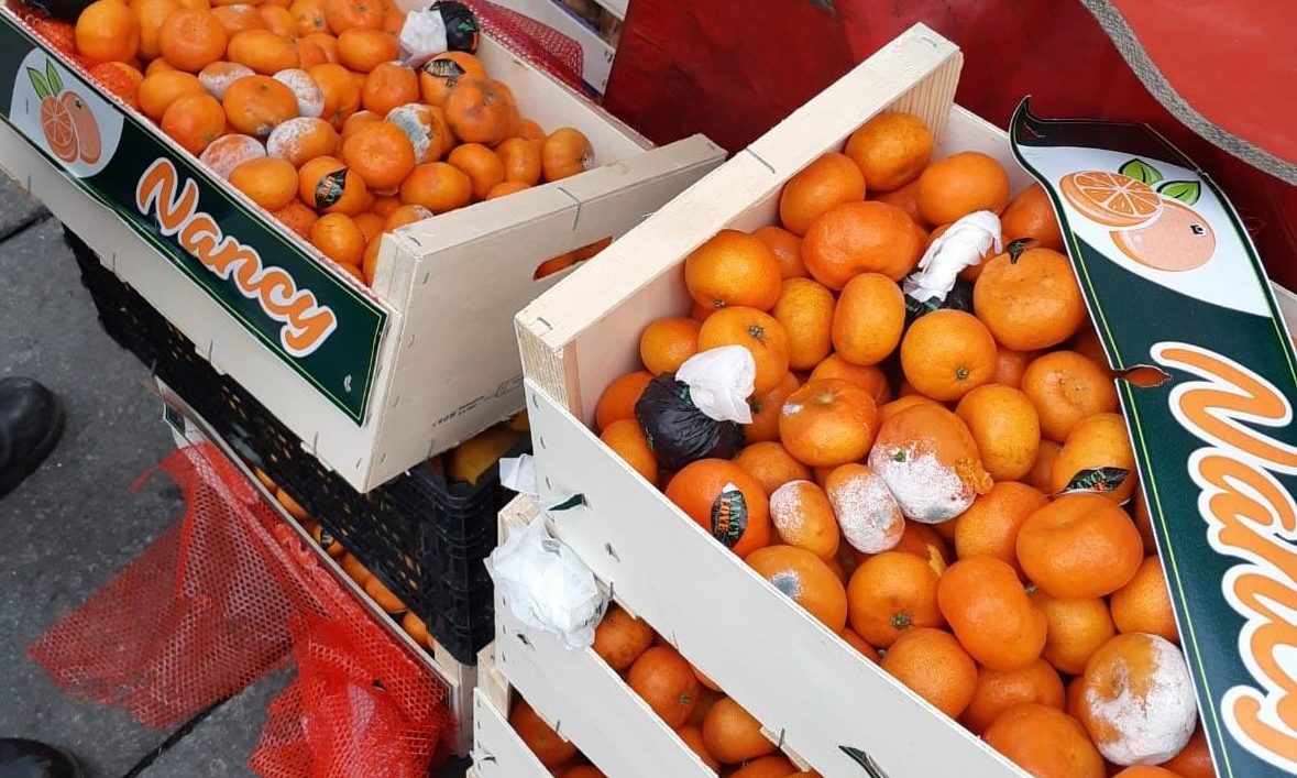 Torino – Limoni e mandarini ricoperti di muffa, maxi sequestro di 250kg a Porta Palazzo