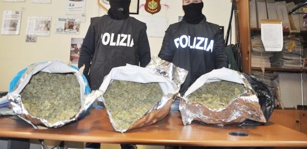 Torino – Il fattorino consegnava anche droga: trovato con 50 kg di Amnesia, la marijuana potenziata