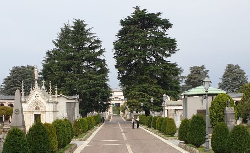 Nasce un nuovo bosco a Torino, in ricordo delle vittime Covid – Sarà all’interno del Cimitero Monumentale