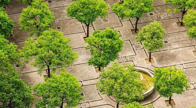 Torino – Un nuovo bosco urbano in città: sarà filtro naturale antismog e spazio aperto a tutti