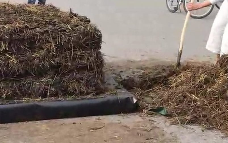 Torino – Carico di letame in piazza Castello “Il Recovery plan della Regione è una c… pazzesca, Cirio responsabile”