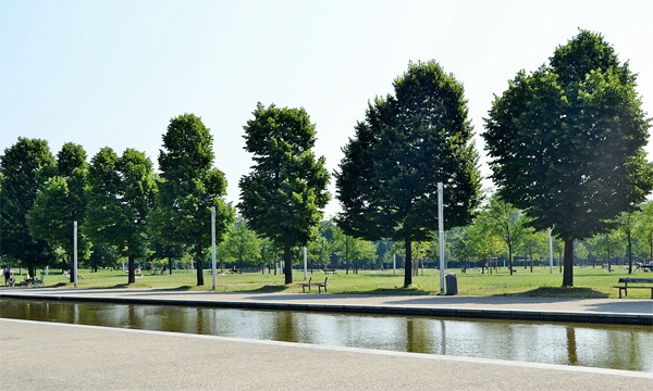 Torino – Piazza d’Armi sarà più bella grazie ad un intervento straordinario. Al via i lavori